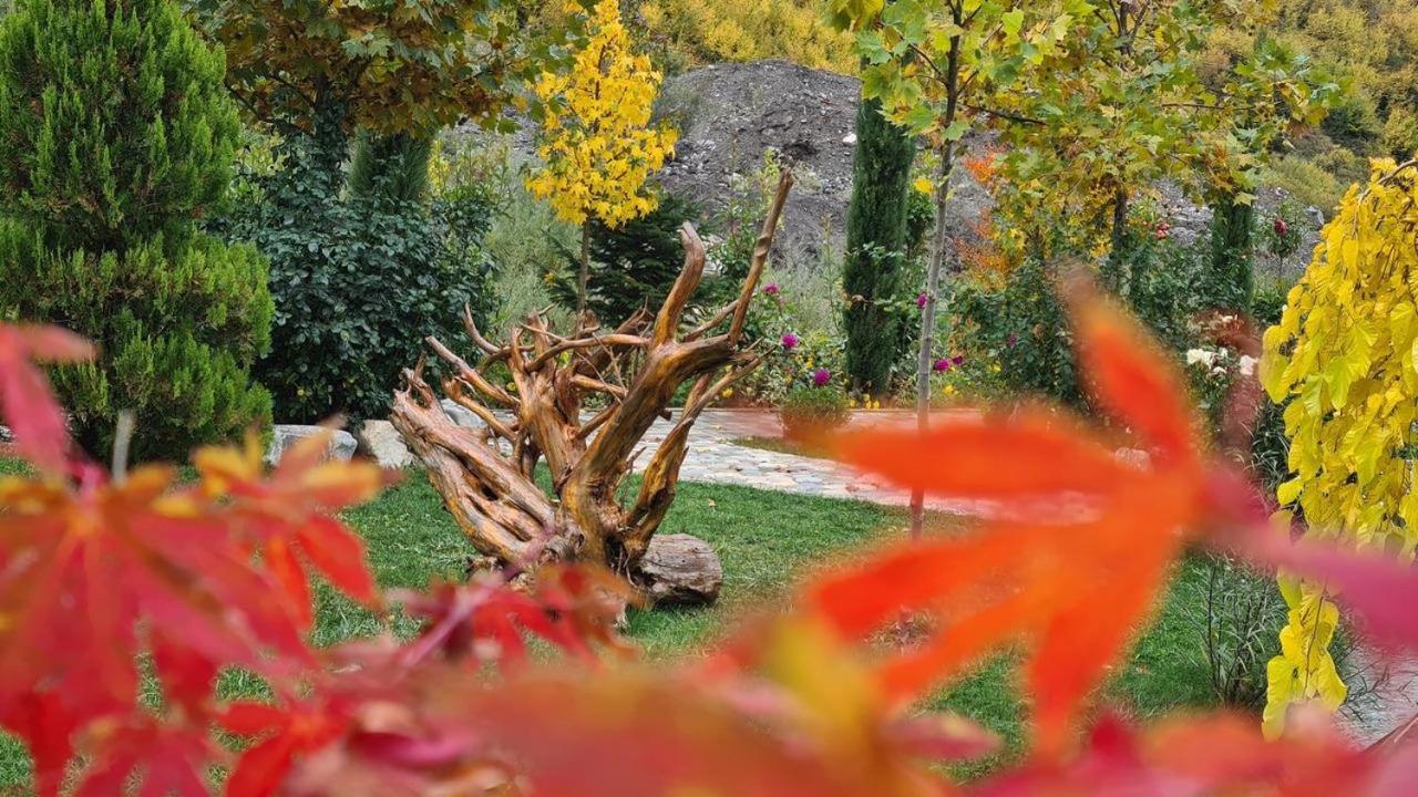 Dibra Park Agrotourism Hotell Peshkopi Exteriör bild